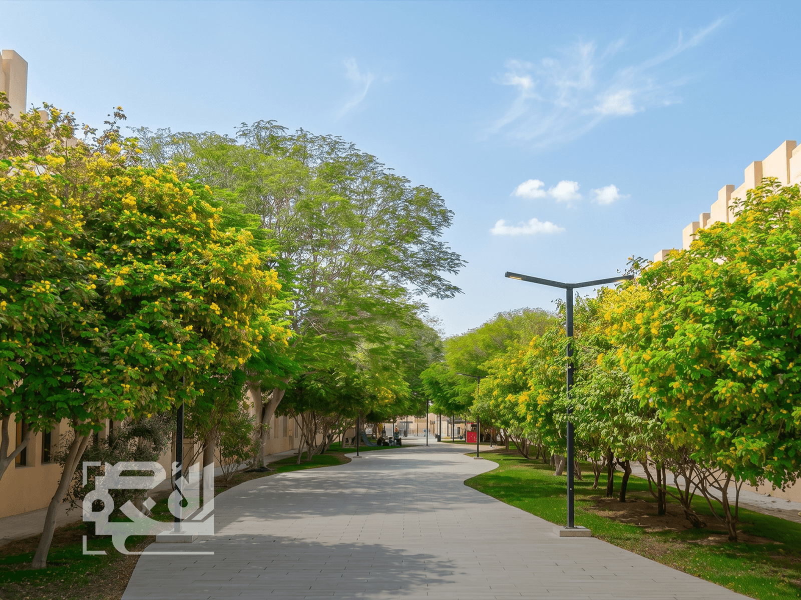 Tree-lined community walkway